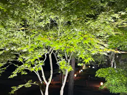 VIE presents ZEN NIGHTに投稿された画像(2026/6/14)