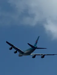 航空科学博物館に投稿された画像(2026/6/14)
