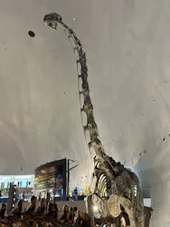 福井県立恐竜博物館に投稿された画像(2026/6/14)