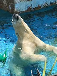 天王寺動物園に投稿された画像(2026/6/14)