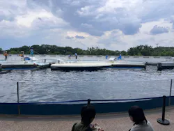 京都水族館に投稿された画像(2026/6/14)