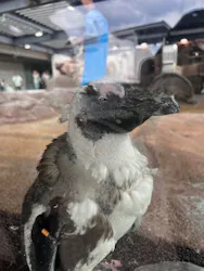 京都水族館に投稿された画像(2026/6/14)