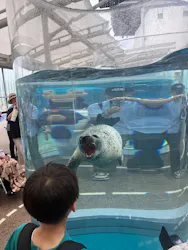 京都水族館に投稿された画像(2026/6/14)