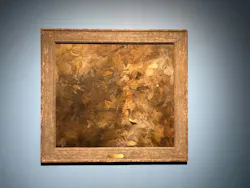 東京都美術館開館100周年記念 アンドリュー・ワイエス展に投稿された画像(2026/6/14)