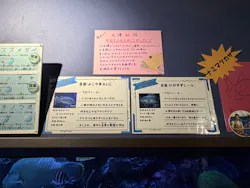 竹島水族館に投稿された画像(2026/6/14)