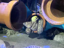 竹島水族館に投稿された画像(2026/6/14)