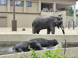 天王寺動物園に投稿された画像(2026/6/14)