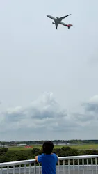 航空科学博物館に投稿された画像(2026/6/14)