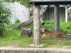 天王寺動物園に投稿された画像(2026/6/14)
