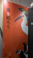 特別展「鳥 ~ゲノム解析が解き明かす新しい鳥類の系統~」に投稿された画像(2026/6/14)