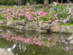 万博記念公園に投稿された画像(2026/6/14)