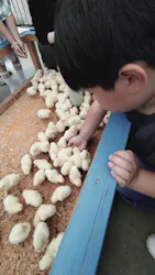 しろとり動物園に投稿された画像(2026/6/14)