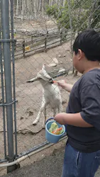 しろとり動物園に投稿された画像(2026/6/14)