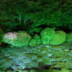 VIE presents ZEN NIGHTに投稿された画像(2026/6/14)
