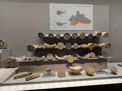 東京国立博物館に投稿された画像(2026/6/14)