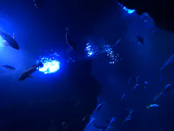 京都水族館に投稿された画像(2026/6/14)