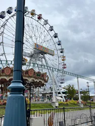 あらかわ遊園に投稿された画像(2026/6/15)