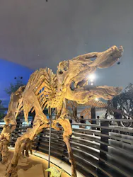 福井県立恐竜博物館に投稿された画像(2026/6/15)