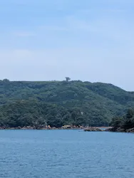九十九島遊覧船に投稿された画像(2026/6/15)