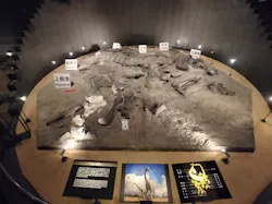 福井県立恐竜博物館に投稿された画像(2026/6/15)