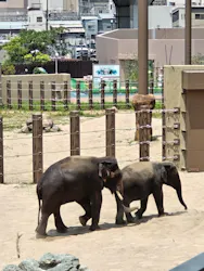 天王寺動物園に投稿された画像(2026/6/15)