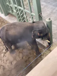 天王寺動物園に投稿された画像(2026/6/15)