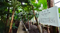 熱川バナナワニ園に投稿された画像(2026/6/16)