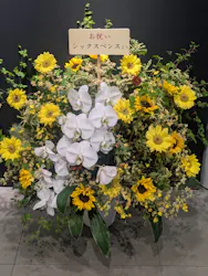 武豊 デビュー40年 ~前人未到の記録~ (銀座三越)に投稿された画像(2026/6/16)