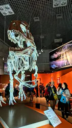 特別展「大絶滅展―生命史のビッグファイブ」に投稿された画像(2026/6/16)