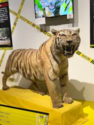 特別展「超危険生物展 科学で挑む生き物の本気」に投稿された画像(2026/6/16)