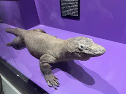 特別展「超危険生物展 科学で挑む生き物の本気」に投稿された画像(2026/6/16)