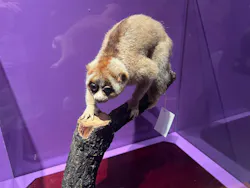 特別展「超危険生物展 科学で挑む生き物の本気」に投稿された画像(2026/6/16)