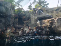 環境水族館アクアマリンふくしまに投稿された画像(2026/6/16)