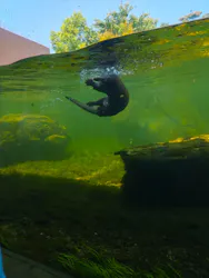 環境水族館アクアマリンふくしまに投稿された画像(2026/6/16)
