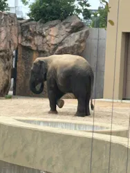 天王寺動物園に投稿された画像(2026/6/16)
