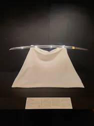 東京国立博物館に投稿された画像(2026/6/17)