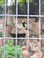 天王寺動物園に投稿された画像(2026/6/17)