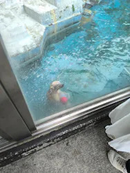 天王寺動物園に投稿された画像(2026/6/17)