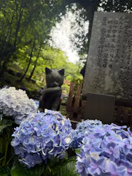 仙巌園に投稿された画像(2026/6/17)