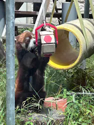天王寺動物園に投稿された画像(2026/6/18)