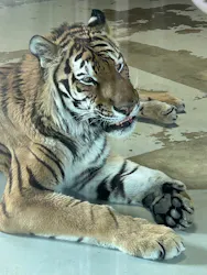 天王寺動物園に投稿された画像(2026/6/18)