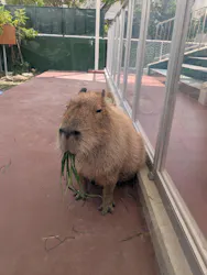 竹島水族館に投稿された画像(2026/6/18)