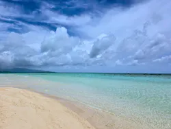 石垣島 ウミガメシュノーケル マリンショップHAPPYに投稿された画像(2026/6/18)