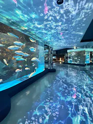 のとじま水族館に投稿された画像(2026/6/19)