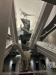 福井県立恐竜博物館に投稿された画像(2026/6/19)