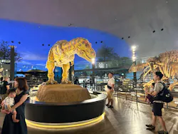 福井県立恐竜博物館に投稿された画像(2026/6/19)