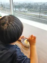 京都鉄道博物館に投稿された画像(2026/6/20)