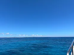 真心ダイバーズに投稿された画像(2026/6/21)