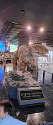 福井県立恐竜博物館に投稿された画像(2026/6/21)
