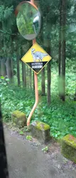 福井県立恐竜博物館に投稿された画像(2026/6/21)